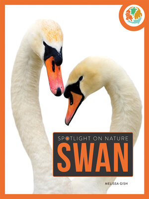 cover image of Swan